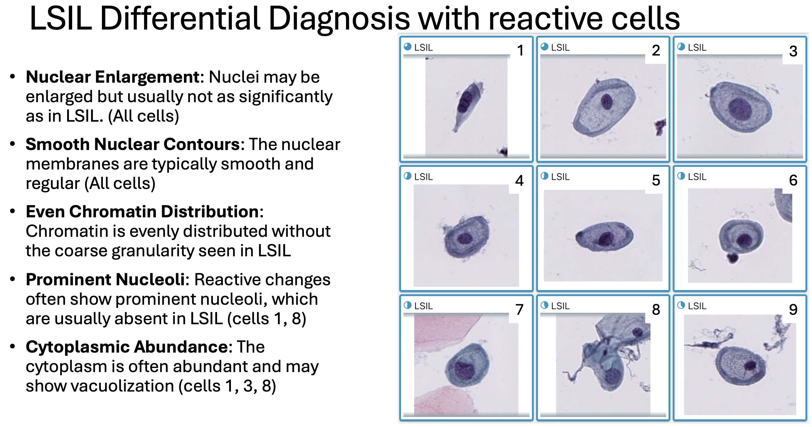 Cervical Cancer Learning Platform Release